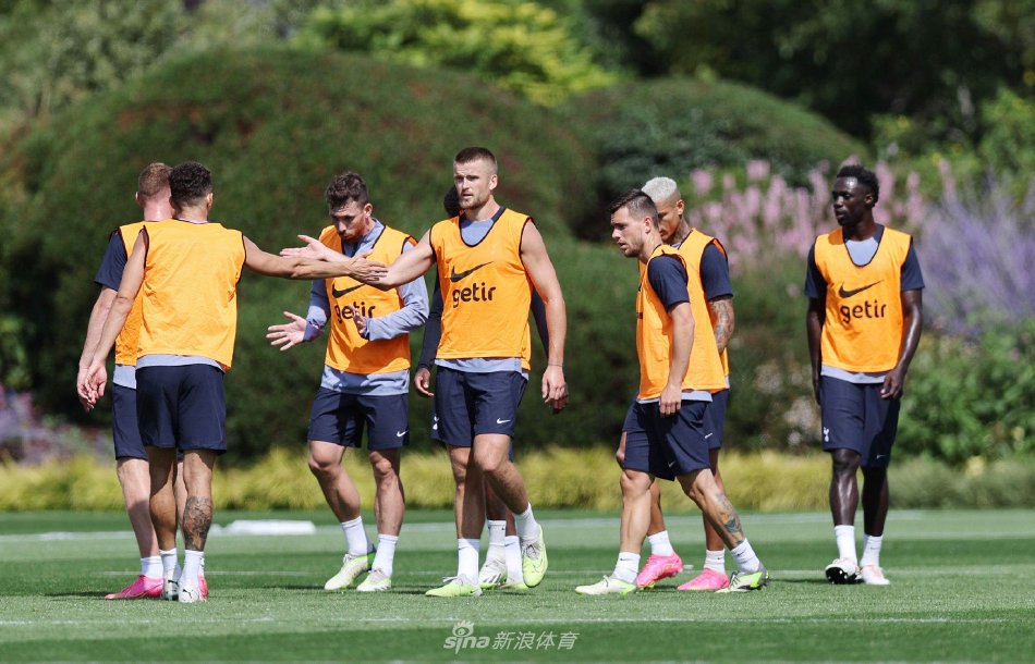 仅可以提供 仅可以提供